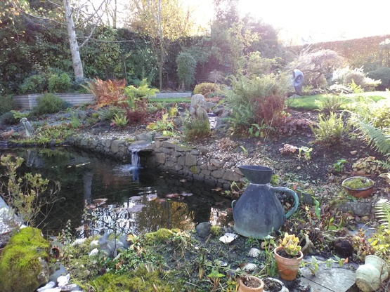 garden clearance Edinburgh example