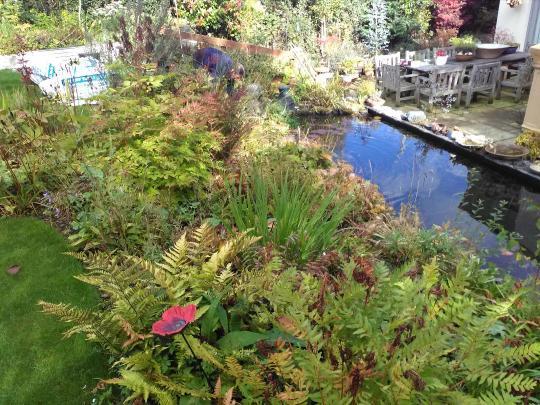 garden clearance Edinburgh example