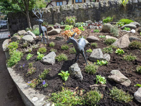 garden designers Edinburgh planting example