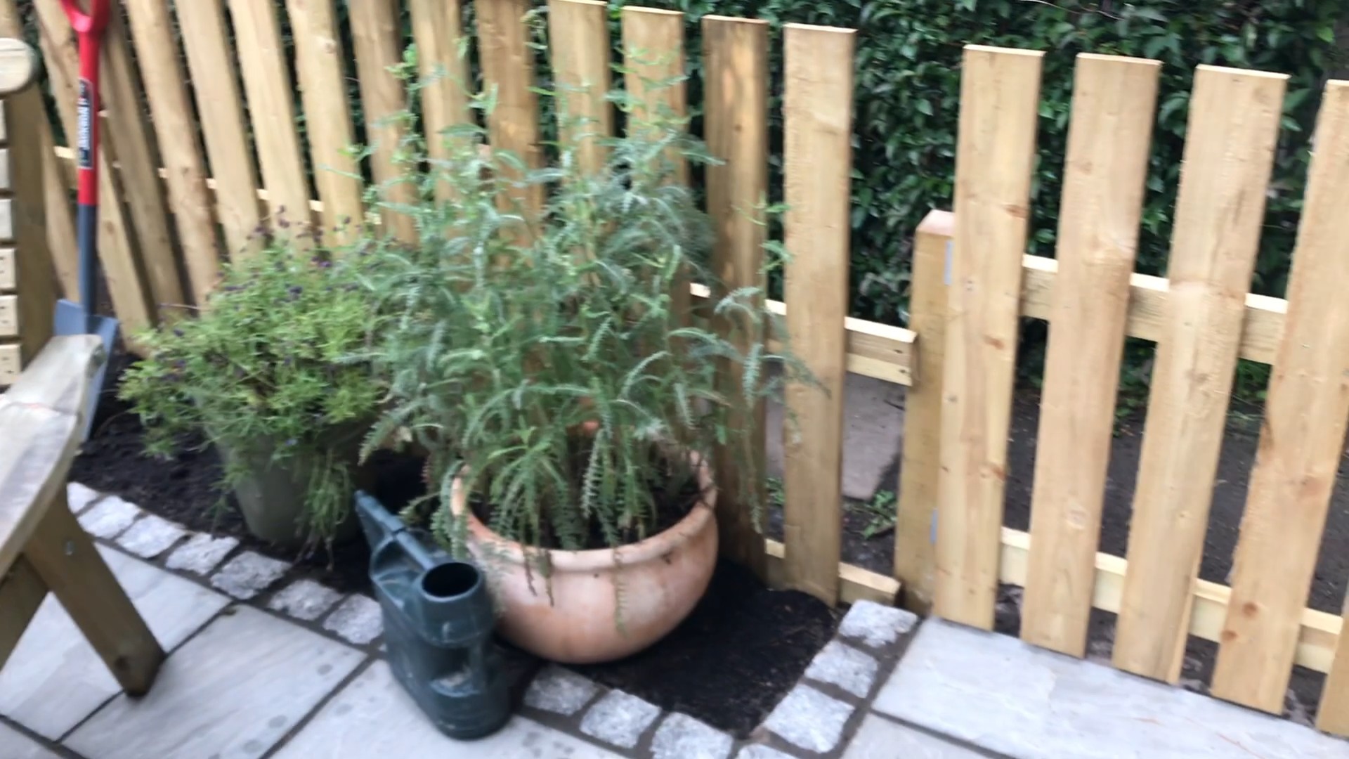 garden patio Edinburgh with fence