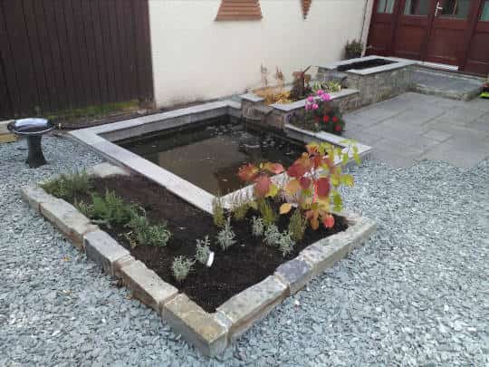 ponds and water feature example